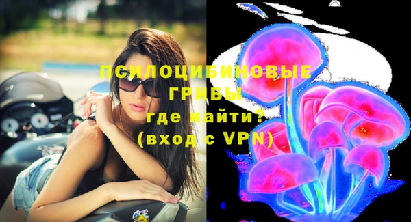 не бодяженный Алзамай