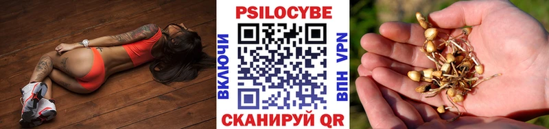 мега ONION  Верхоянск  Псилоцибиновые грибы Psilocybine cubensis 