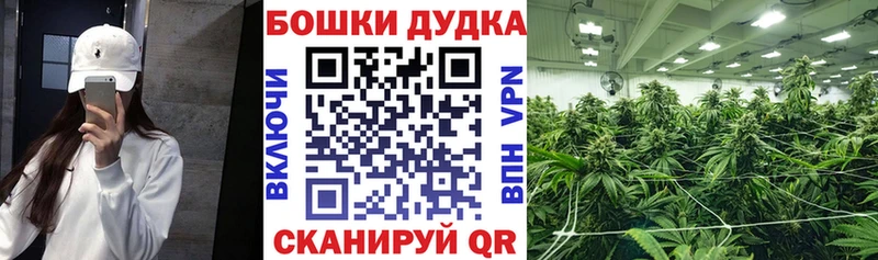 магазин    Верхоянск  Шишки марихуана ГИДРОПОН 
